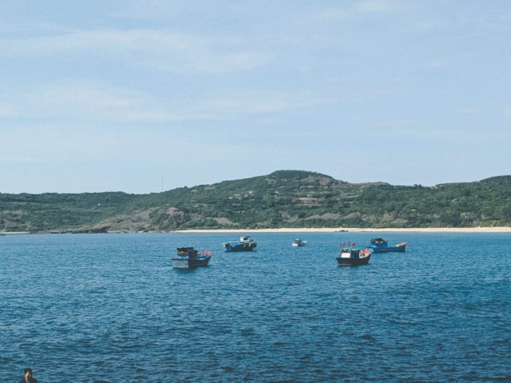 Fishing boats moored in a blue bay